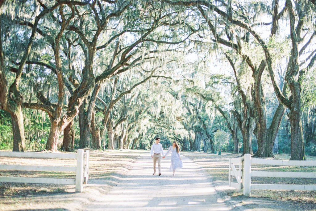 engagement photo at wormsloe historic site with its beautiful oak trees and hanging moss 